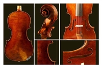Fret Not Music Shop