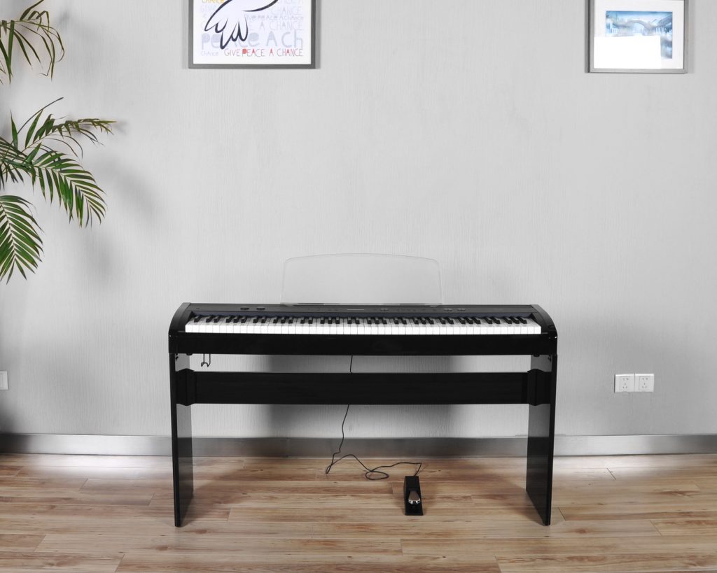 Fret Not Music Shop