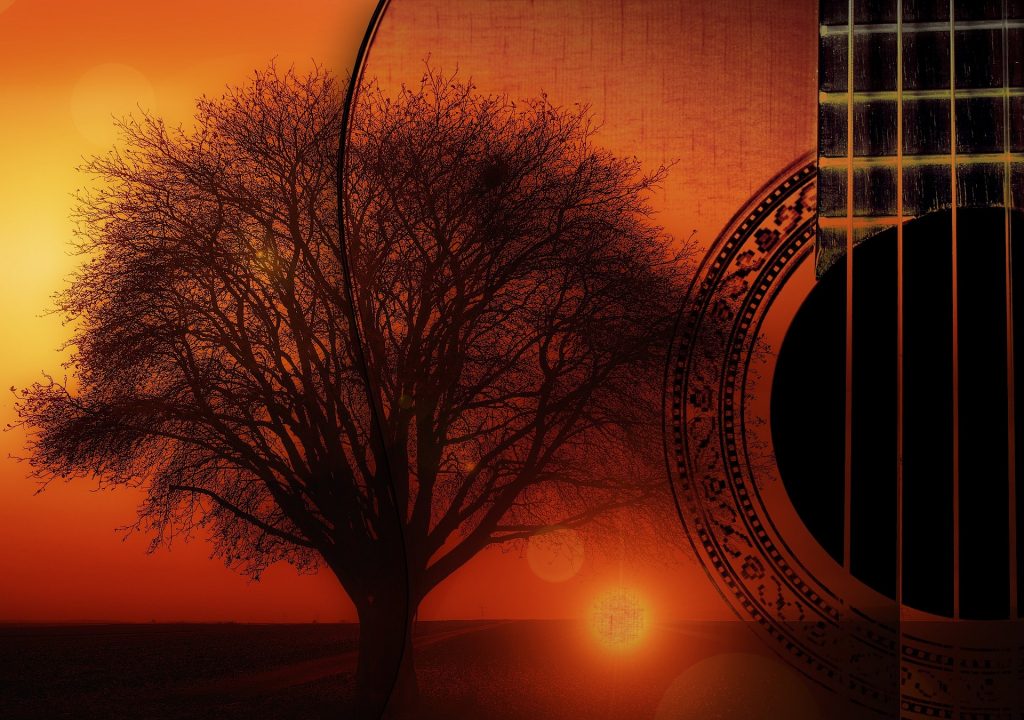 Fret Not Music Shop