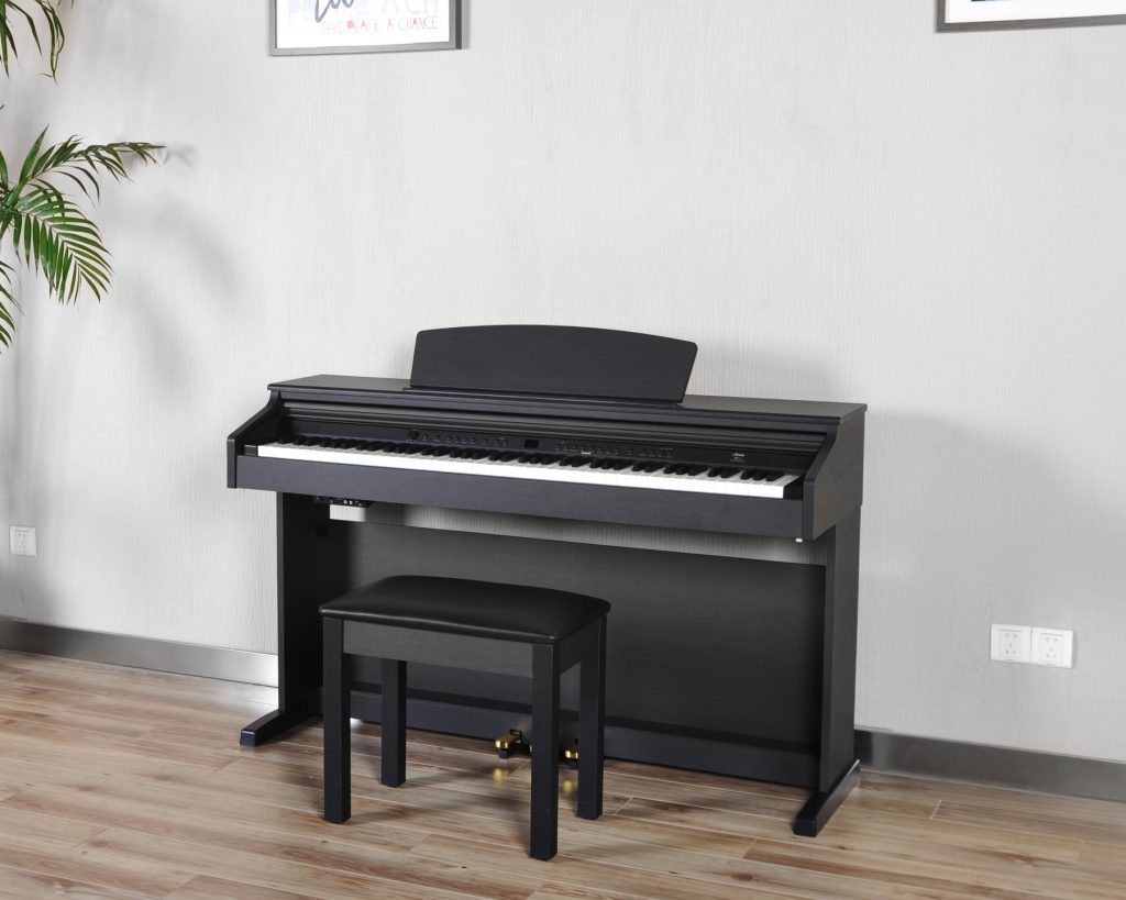 Fret Not Music Shop